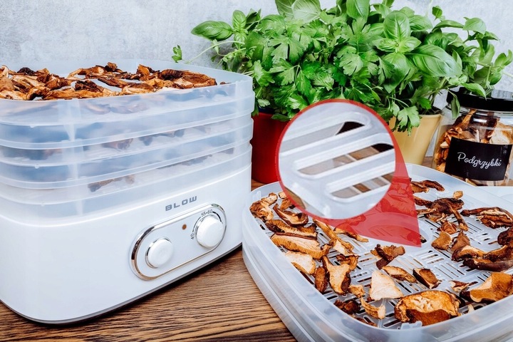 SUSZARKA DO GRZYBÓW OWOCÓW WARZYW RYB REGULACJA 5 SIT