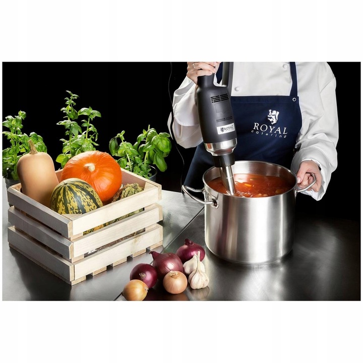 BLENDER GASTRONOMICZNY REGULOWANA PRĘDKOŚĆ 500 W