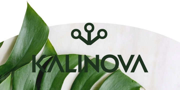 NEEMAZAL TS Owadobójczy 3ml + Żółte lepy 12szt. na Ziemiórki Mszyce