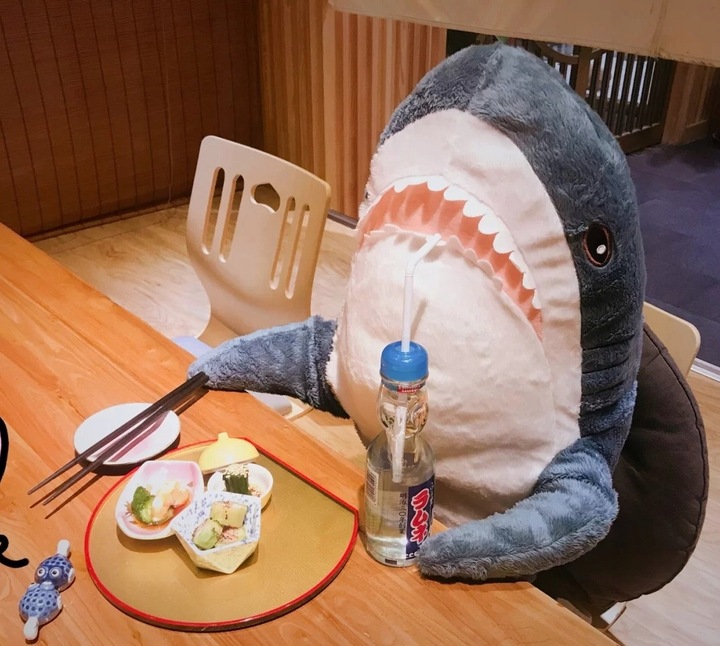 blahaj Duży rekin pluszak 100 cm Przytulanka