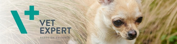 VET EXPERT KALMVET ADVANCED - preparat na objawy stresu dla psów i kotów