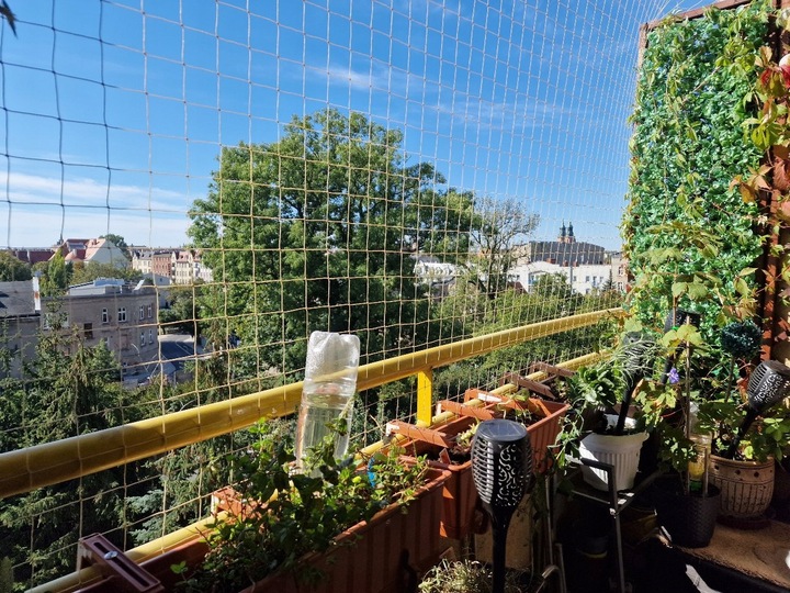ZESTAW SIATKA NA BALKON 6x3m NA GOŁĘBIE PRZECIW PTAKOM MONTAŻ BEZ WIERCENIA