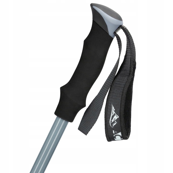 SOLIDNE KIJE TREKKINGOWE KIJKI NORDIC WALKING REGULOWANE DO CHODZENIA PRO