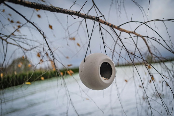 NOWOCZESNY KARMNIK DLA PTAKÓW ZIMUJĄCYCH LISA + POKARM KARMA ZIARNO 1KG