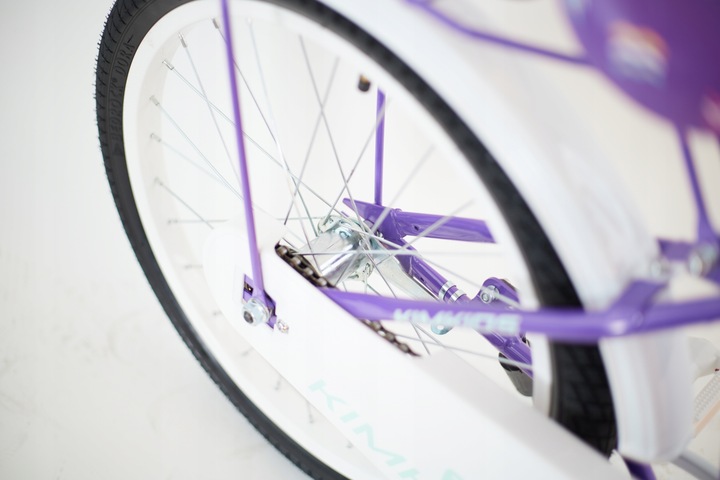 Rower dziecięcy 20 cali dla dziewczynki koszyk bagażnik frędzle 5-9 lat fio