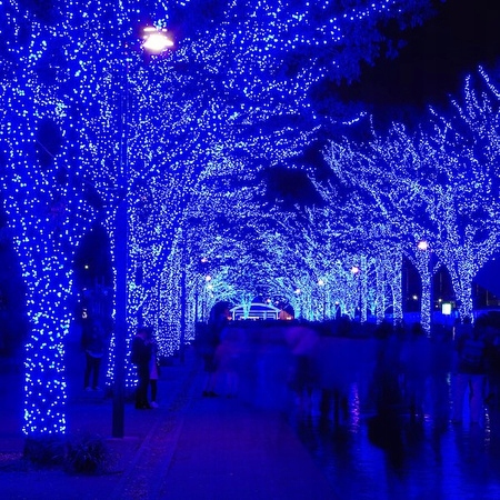 LAMPKI CHOINKOWE 500LED NIEBIESKIE + FLASH FLESZ BŁYSK 35M ZEW/WEW ISKRZĄCE