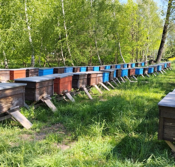 Miód Wielokwiatowy + Lipowy z RODZINNEJ PASIEKI