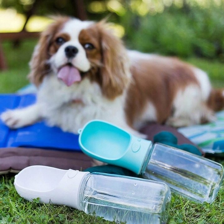 BUTELKA MISKA TURYSTYCZNA BIDON NA WODĘ POJEMNIK NA KARMĘ PRZENOŚNA POIDŁO