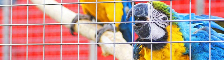 Siatka zgrzewana nierdzewna oczko 10mm drut 1,0mm