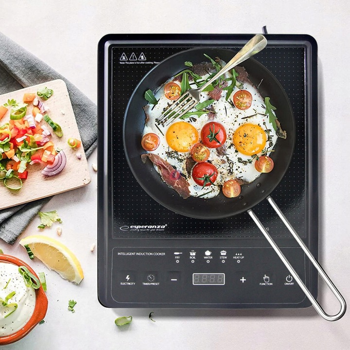 PŁYTA INDUKCYJNA KUCHENKA ELEKTRYCZNA 2000W TIMER 80°C~270°C 5 programów
