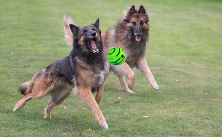 Interaktywna Zabawka dla Psa Piłka z Dźwiękiem Wytrzymała Dużych Ras Psów
