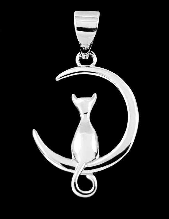 SREBRNA ZAWIESZKA WISIOREK KOT KOTEK KSIĘŻYC SREBRO 925 NA PREZENT
