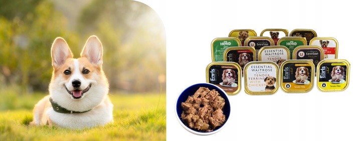 Karma Mokra Dla Psa Tacka Pakiet Zestaw Mieszany mix smaków 150g x 22szt