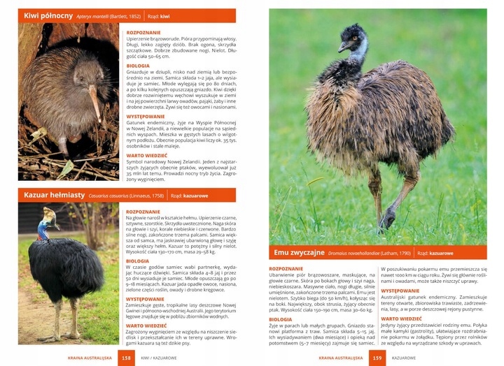 PTAKI ŚWIAT ATLAS PTAKÓW ŚWIATA 250 GATUNKÓW TWARDA OPRAWA KSIĄŻKA PREZENT