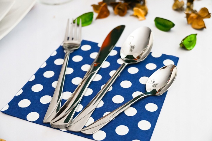 KOMPLET SZTUĆCÓW WALIZKA ZESTAW SZTUĆCE STAL NIERDZEWNA 72EL DLA 12 OSÓB