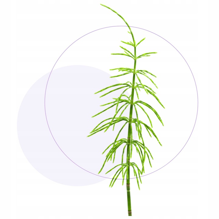 Jasnum uro 60 kapsułek