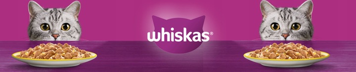 WHISKAS SUCHA KARMA DLA KOTA Z WOŁOWINĄ 14KG