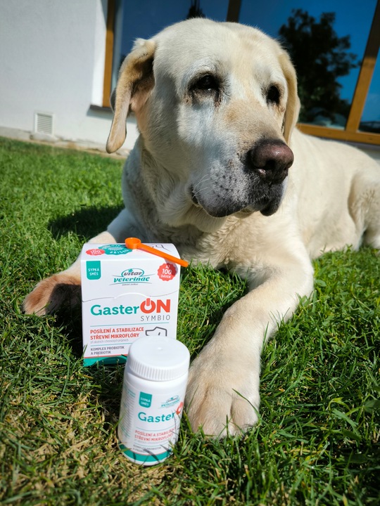 VITAR Veterinae GasterON SYMBIO - probiotyki i prebiotyki - aż 100 dawek