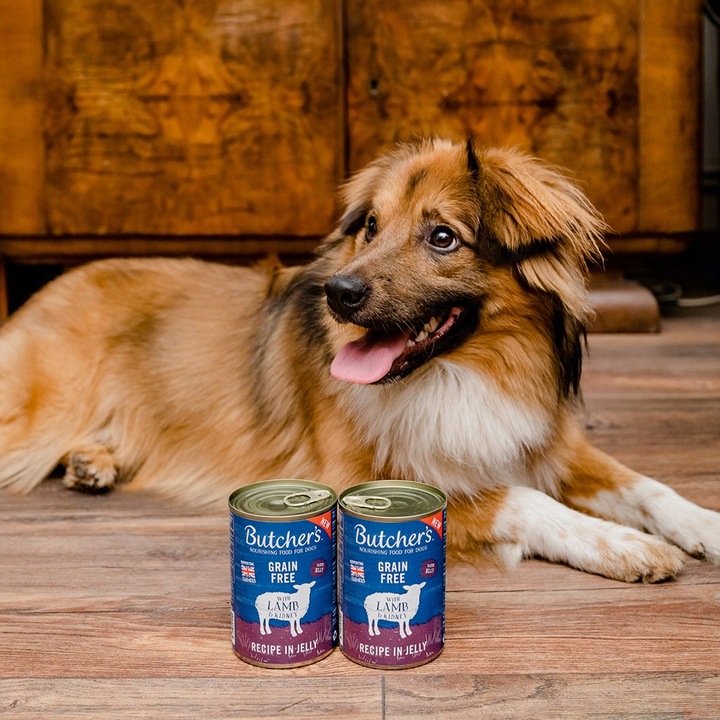 Butchers karma mokra dla psa jagnięcina 10x400g