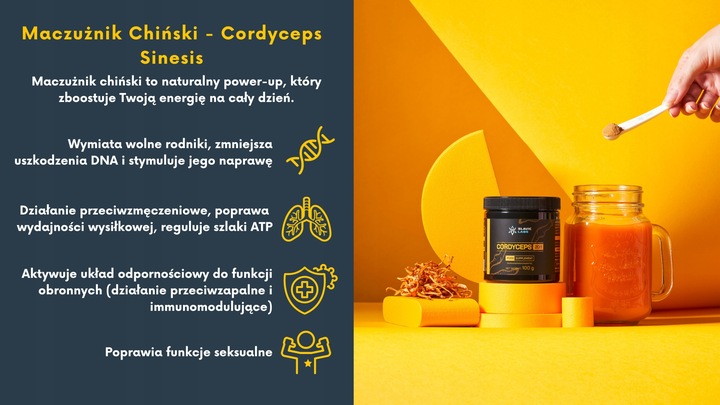 Cordyceps - Maczużnik Chiński 20:1 60g Slavic Labs