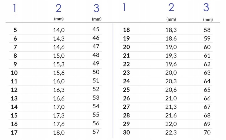 Pierścionek Srebrny 925 Regulowany Pies Jamnik Czarne Złoto Srebro 925