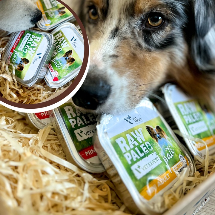 Mokra karma dla psów dorosłych małych ras indyk Raw Paleo Pate 12 x 150g