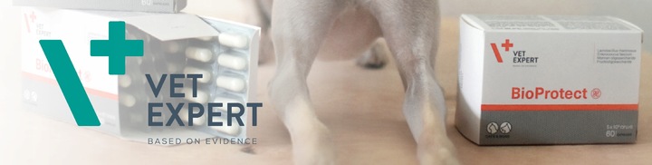 Probiotyk dla psów i kotów na biegunkę Vet Expert Bioprotect 60 kapsułek