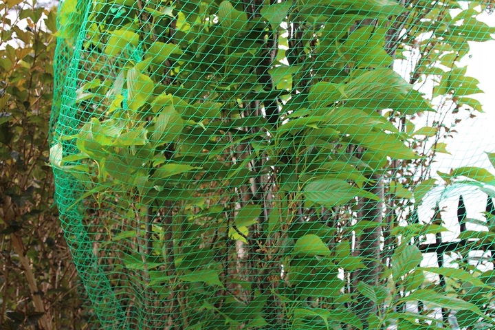 SIATKA NA OCZKO WODNE OCHRONNA NA truskawki PTAKI WZMACNIANA 4x5m +KOTWY