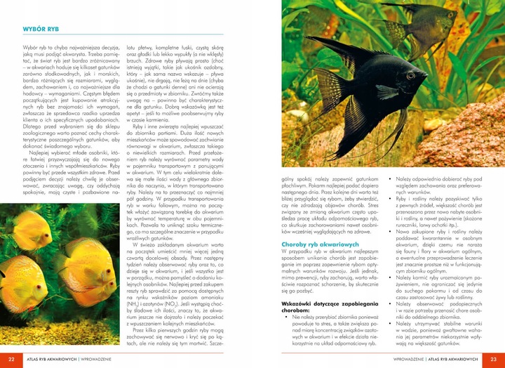 ATLAS RYB AKWARIOWYCH 150 GATUNKÓW Maja Prusińska TWARDA w.2023