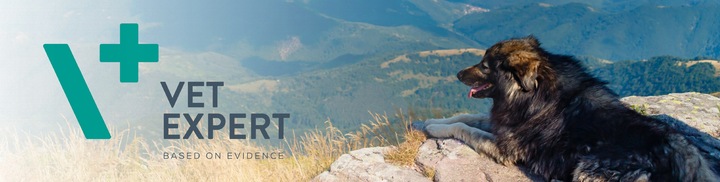 Preparat witaminy dla starszych psów Vet Expert Geriativet Dog 45 tabletek