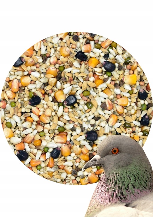 Karma dla gołębi STANDARD S Kampol 25kg