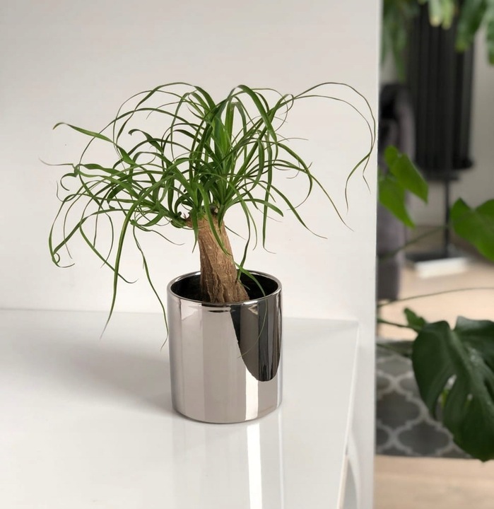 Doniczka Osłonka Ceramiczna Walec Srebrny Do Kwiatów i Kompozycji 15 cm