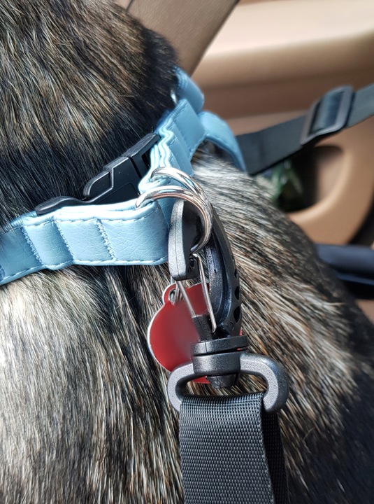 Transporter dla Psa Torba na Siedzenie Samochodu