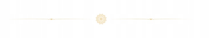 Maison Alhambra Salvo Intense EDP męski zapach