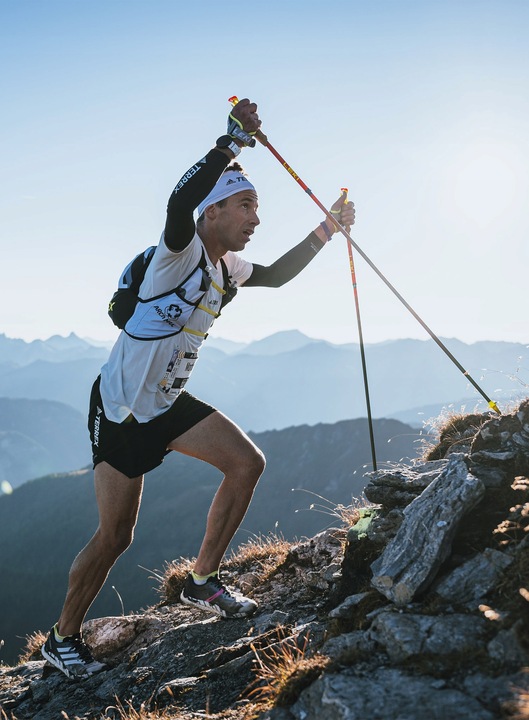 Kije trekkingowe Leki Legacy Lite