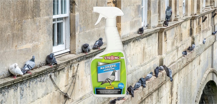 ZESTAW DO ODSTRASZANIA PTAKÓW GOŁĘBIE WRÓBLE MEWY