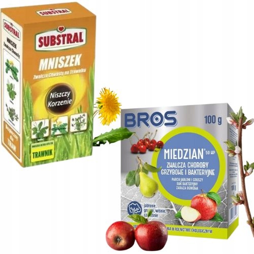 Środek Miedzian Bros 100g + Środek chwastobójczy Mniszek Substral 250ml