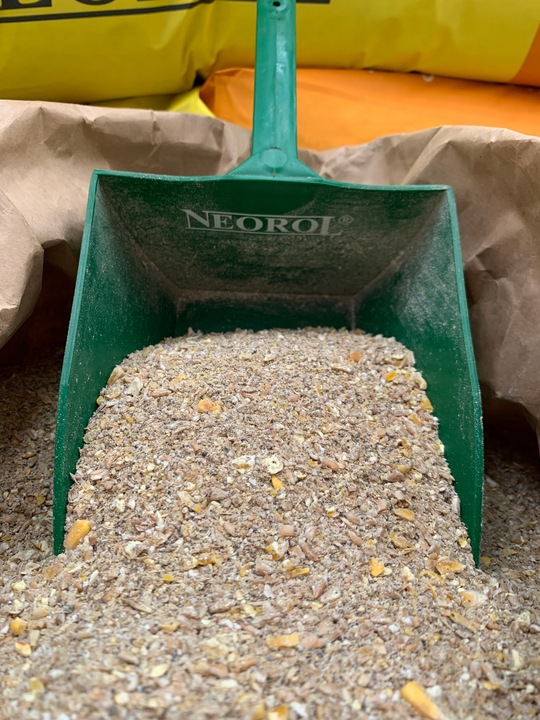 Pasza dla kur niosek, DJ Nioska sypka, worek 25kg, NEOROL