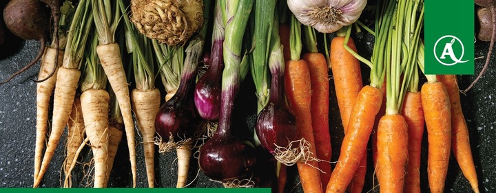 ŚRODEK GRZYBOBÓJCZY OPRYSK SCORPION 325 SC 500ML PARCH ZGNILIZNA PLEŚŃ