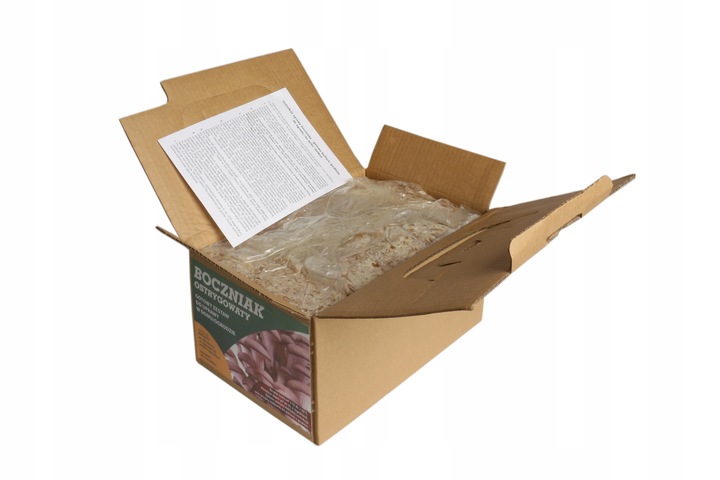 Boczniak uprawa w Domu BALOT grzybnia Boczniaka