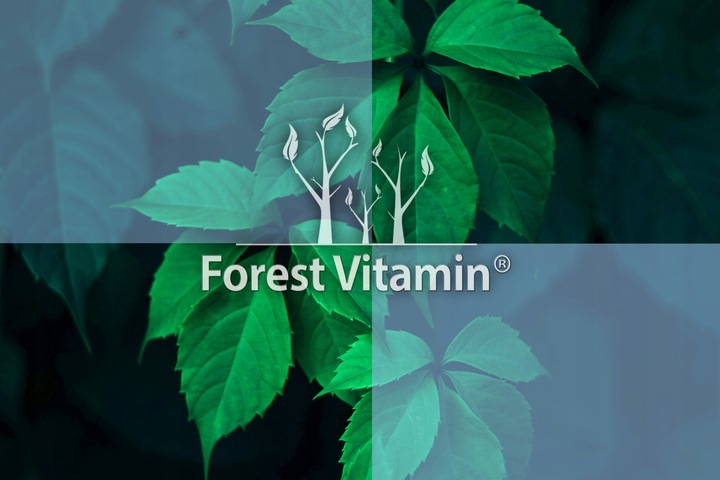 SPERMIDYNA 15g CZYSTA SPERMIDYNE TRICHLOROWODOREK SPERMIDYNY 600 PORCJI