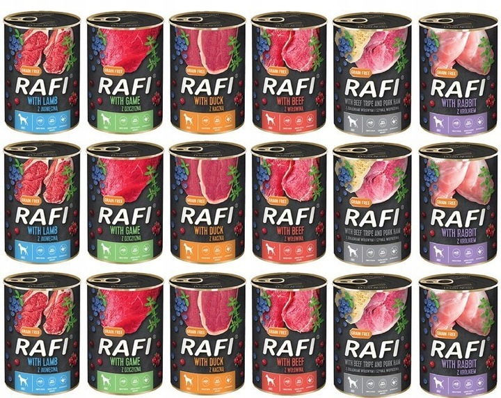 Dolina Noteci RAFI mix smaków 24 x 400g