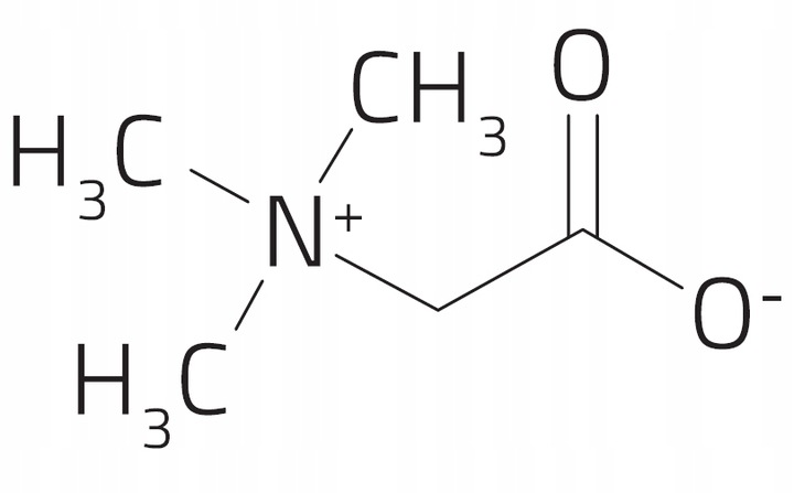 PROTON LABS TMG 90 vege kapsułek Czysta Betaina bezwodna 99,7%+