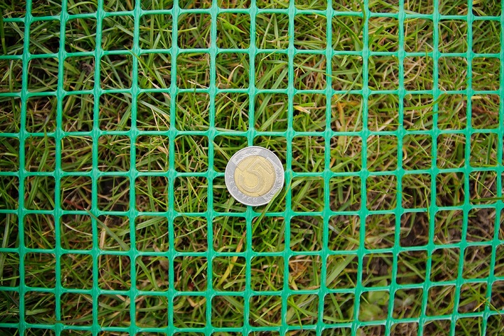 Siatka Rabatowa Dla Drobiu 1,2x10m Ochronna Na Drzewka Rabaty Zielona Ogród