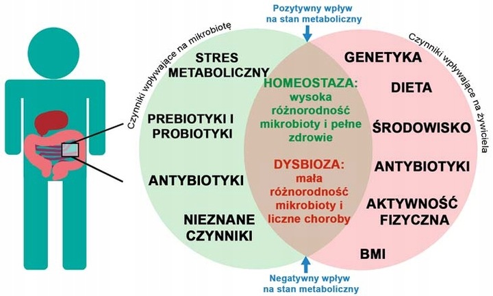 Suplement diety ProBiotics Polska Esencja Probiotyczna probiotyki 1000 ml