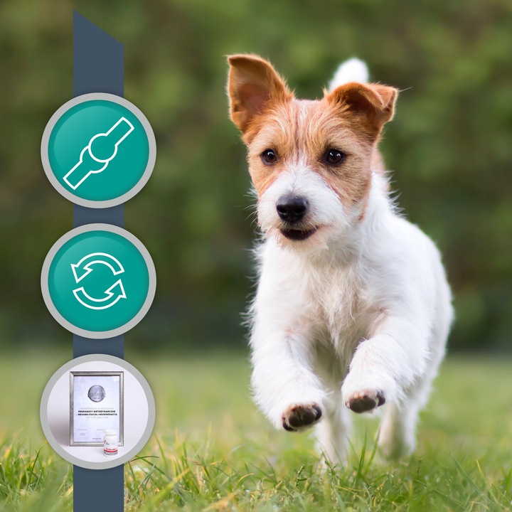 Preparat dla psów i kotów na stawy Vet Expert Arthrovet 60 tabletek