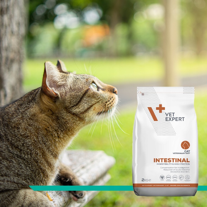 Sucha karma dla kotów wsparcie trawienia Vet Expert Intestinal 2 kg