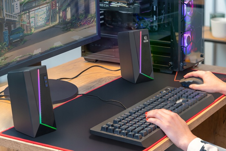 GŁOŚNIKI MAD DOG PGS500 2.0