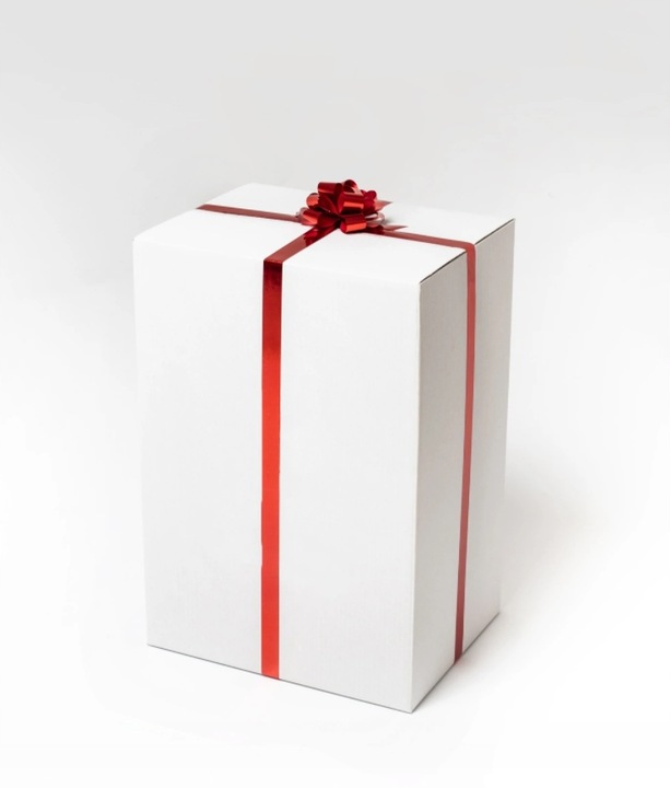 MASKOTKA SONIC PRIME PLUSZAK FIGURKA PRZYTULANKA DUŻA 70CM