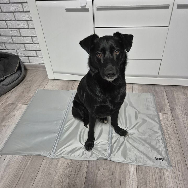 Mata Chłodząca dla Psa Kota Zwierząt Żelowa Składana XXL Legowisko 110x70cm